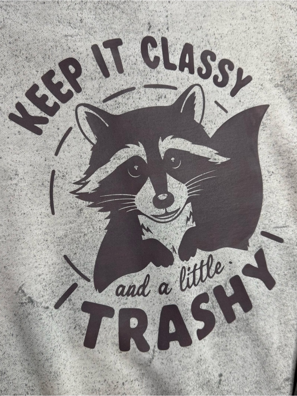 New large Comfort Colors Gray Raccoon Graphic Sweatshirt - Picture 2 of 6